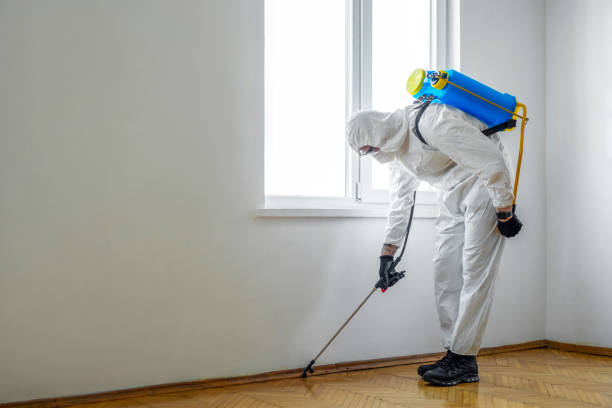 Best Ant Control Services  in Leavittsburg, OH