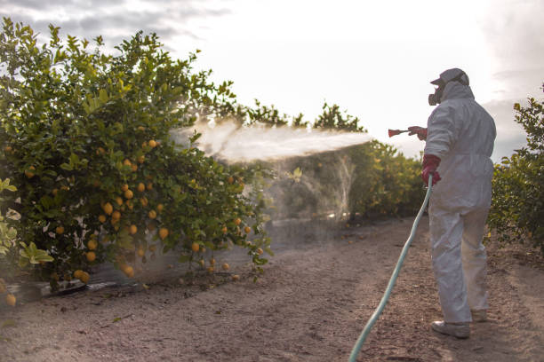 Best Insect Control  in Leavittsburg, OH